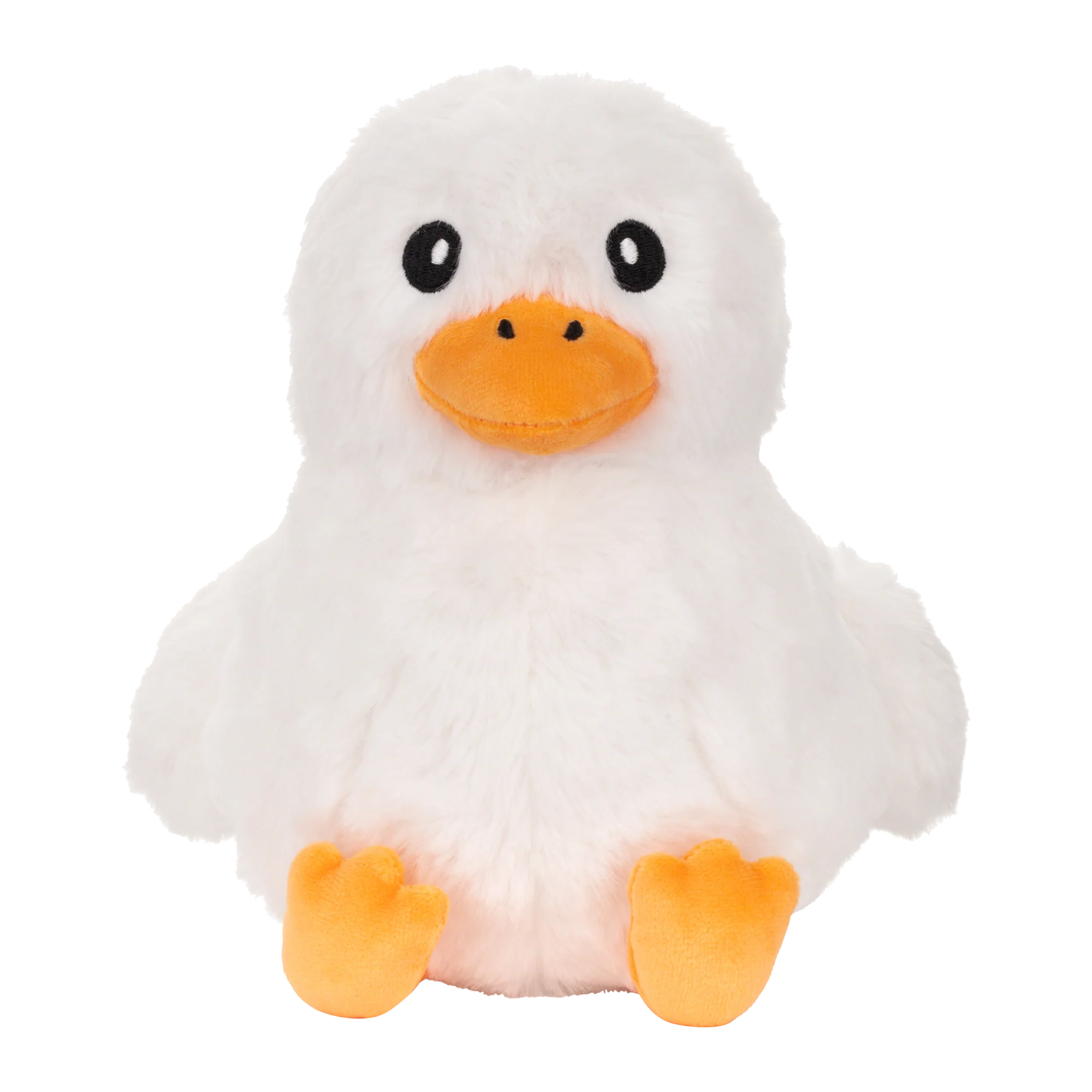 101-diplomaduck-1.webp DiplomaDuck