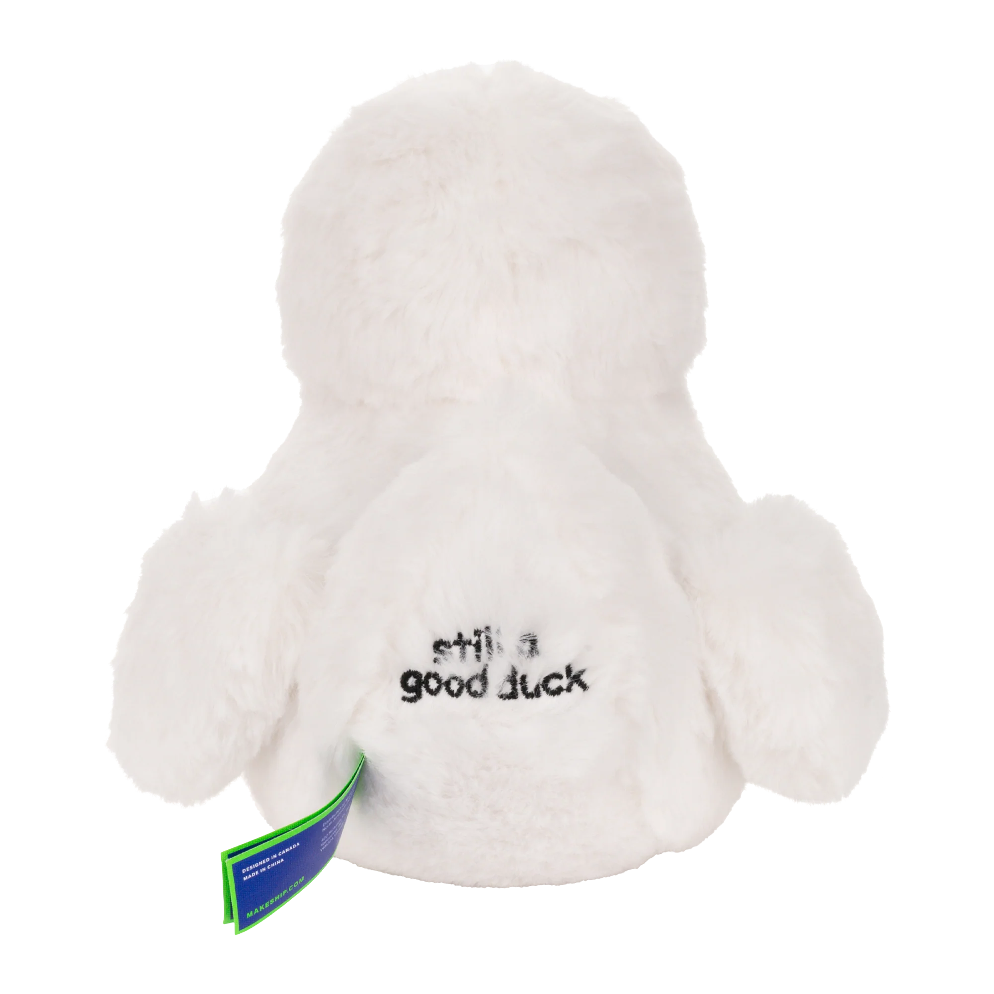 101-diplomaduck-3.webp DiplomaDuck