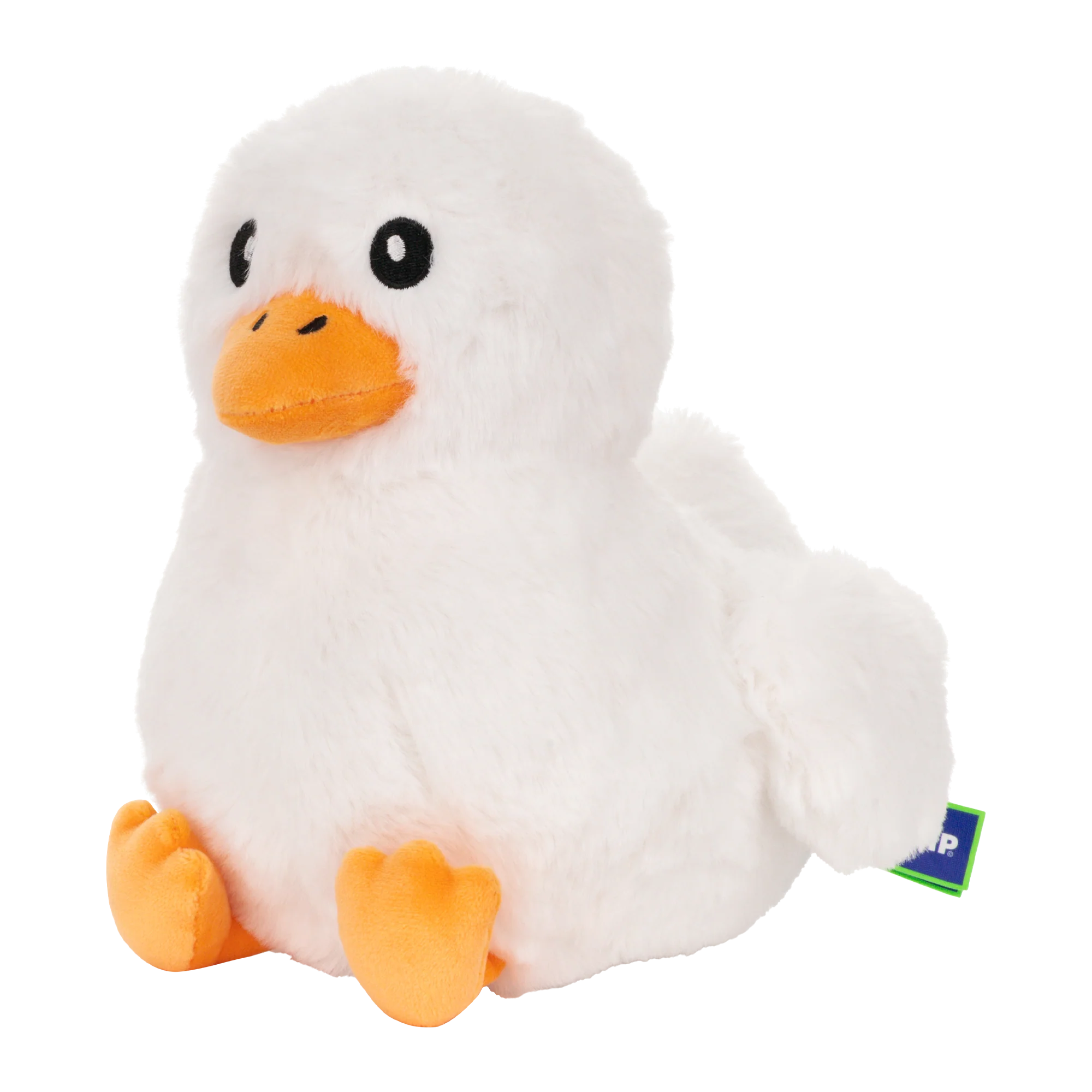 101-diplomaduck-4.webp DiplomaDuck