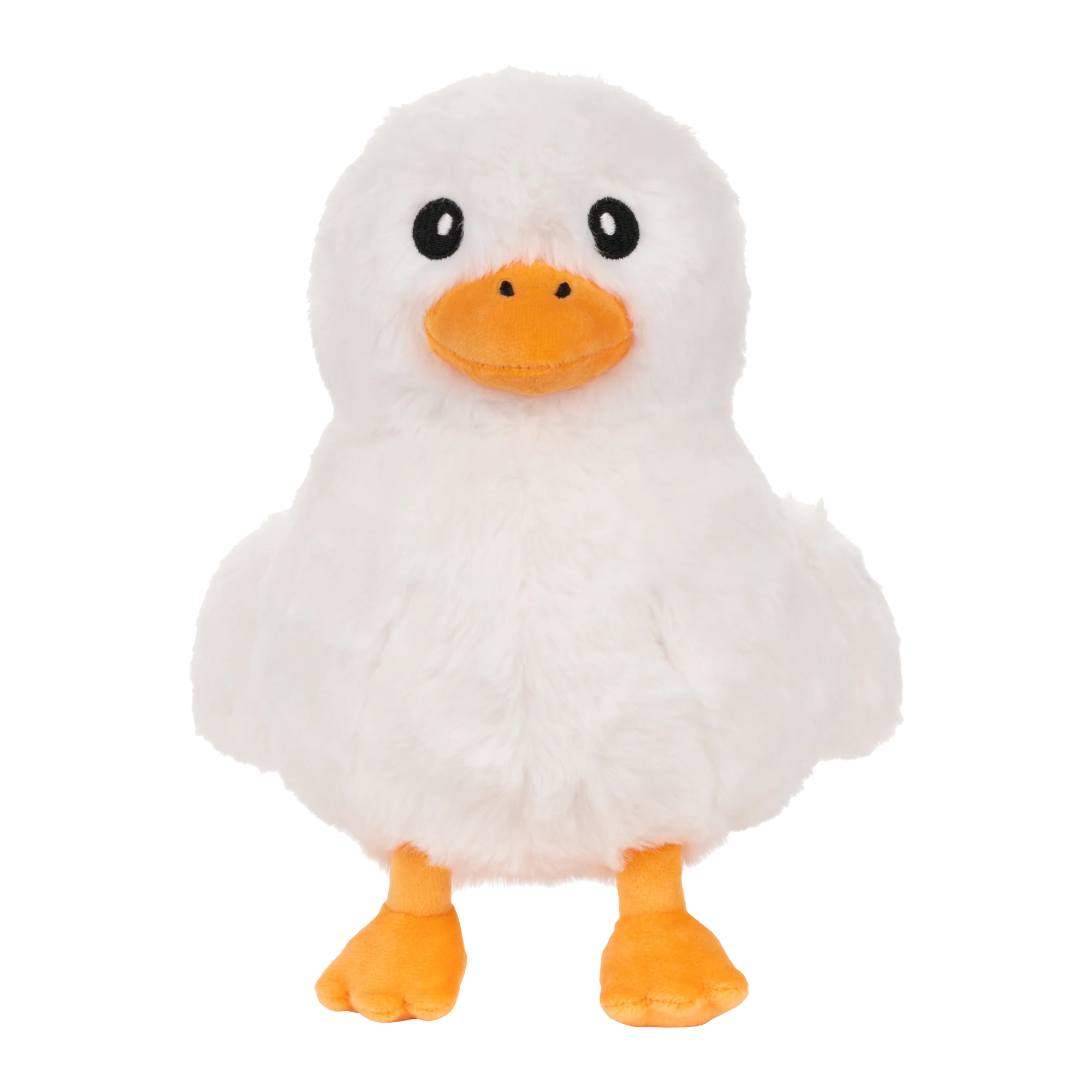 101-diplomaduck-5.webp DiplomaDuck